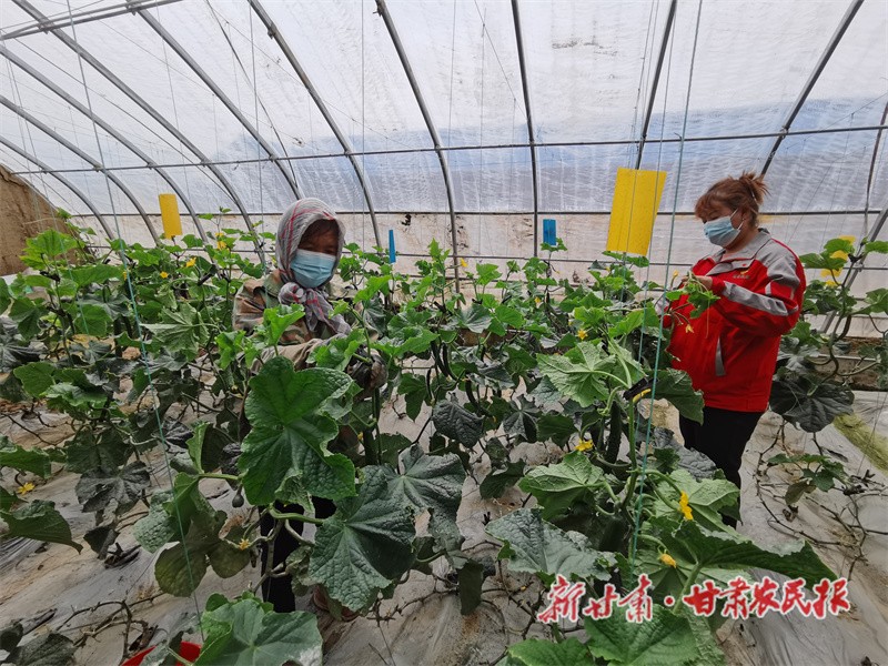 微信图片_20220523164105.jpg