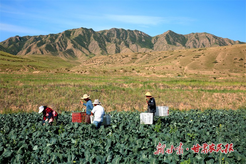 微信图片_20220801155508.jpg