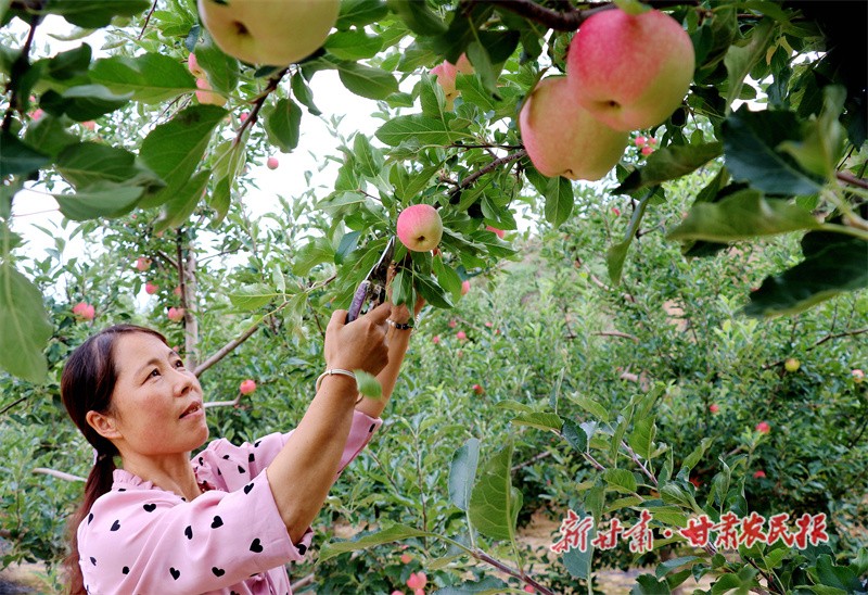 微信图片_20220822111056_副本.jpg