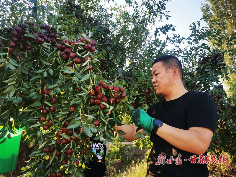 微信图片_20220916150806_副本.jpg