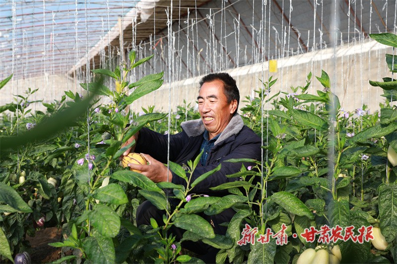 微信图片_20221125150828.jpg