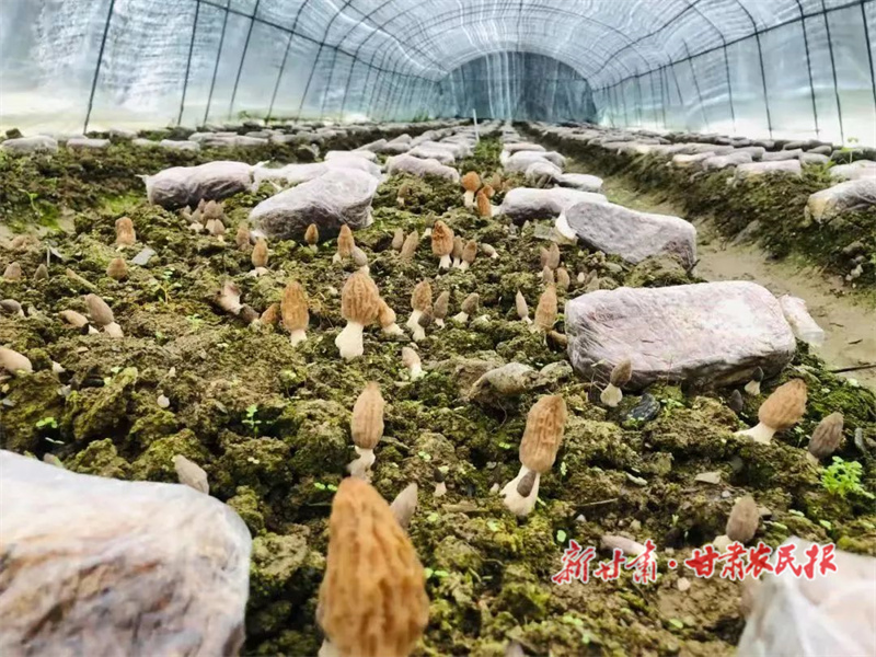 微信图片_20230322152618.jpg
