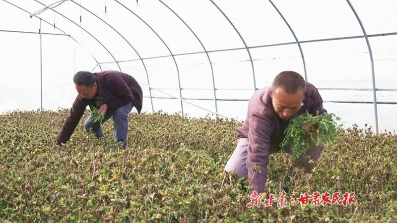 微信图片_20230322152609.jpg
