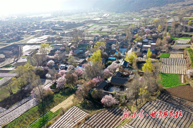 微信图片_20230421153355.jpg