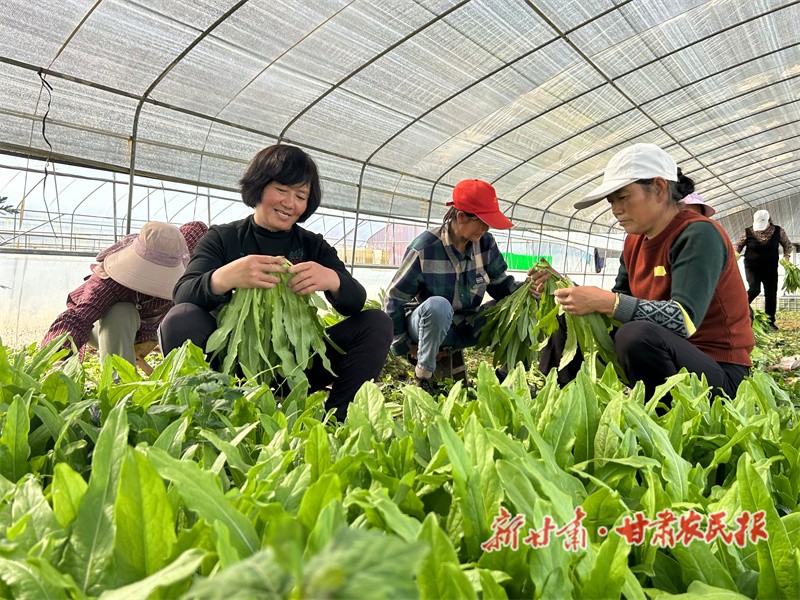 微信图片_20230519150745.jpg
