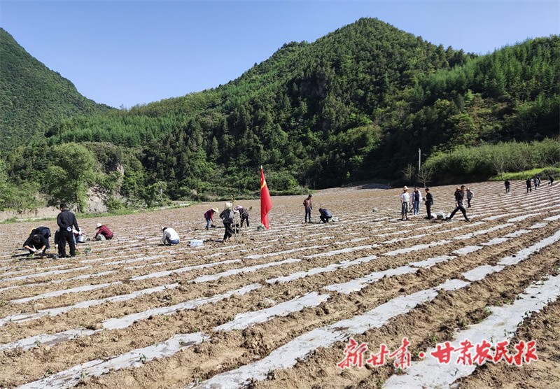微信图片_20230519152809.jpg