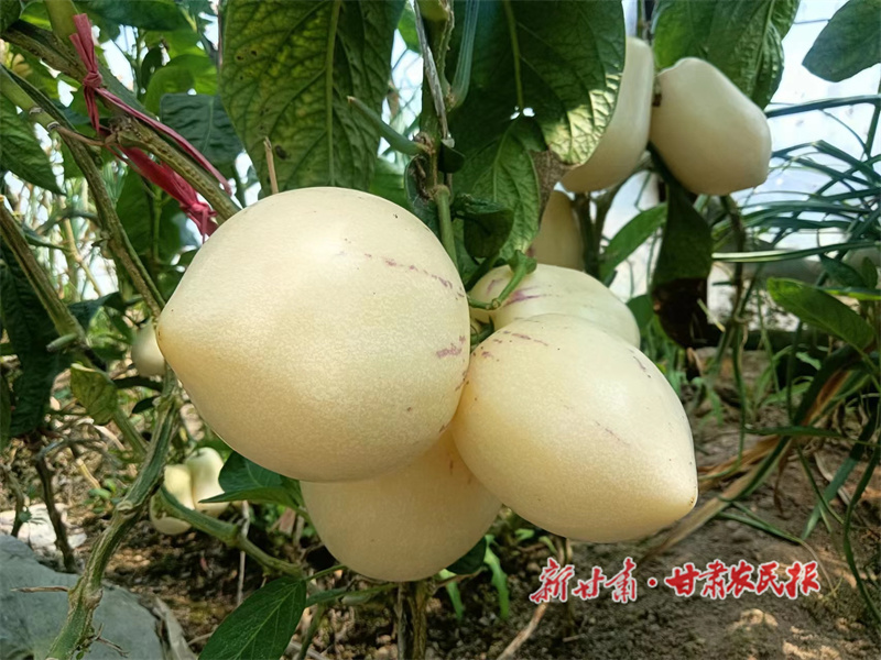 微信图片_20230602171403.jpg