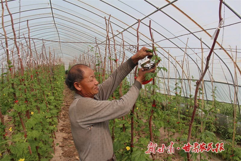 微信图片_20230602155142.jpg