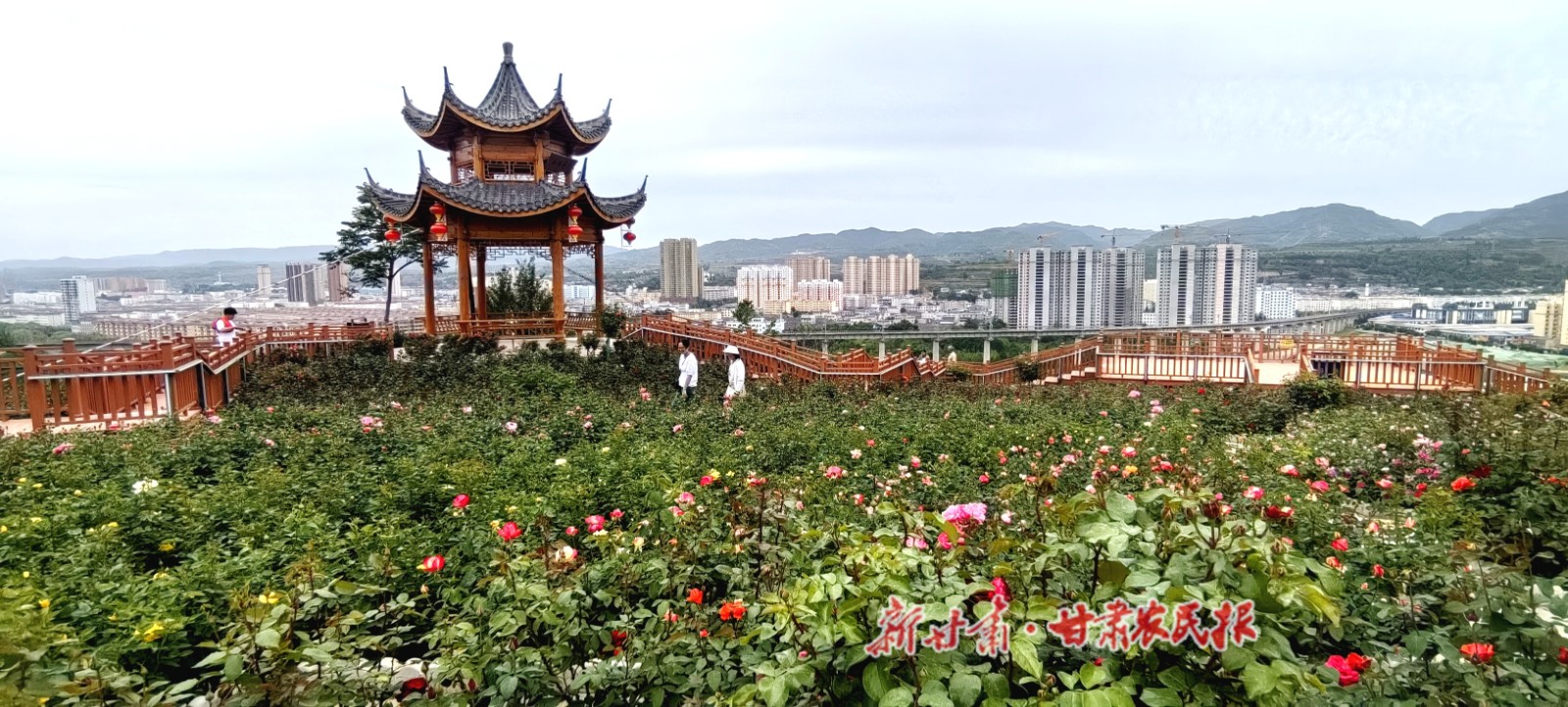 微信图片_20230703165755.jpg
