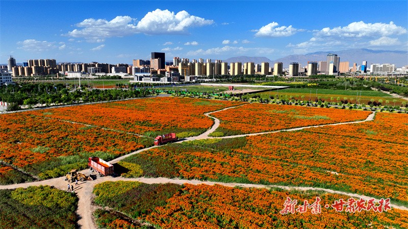 微信图片_20230809161747.jpg