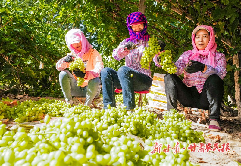 微信图片_20230920165754.jpg