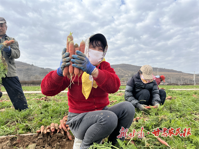 微信图片_20231120154334.jpg