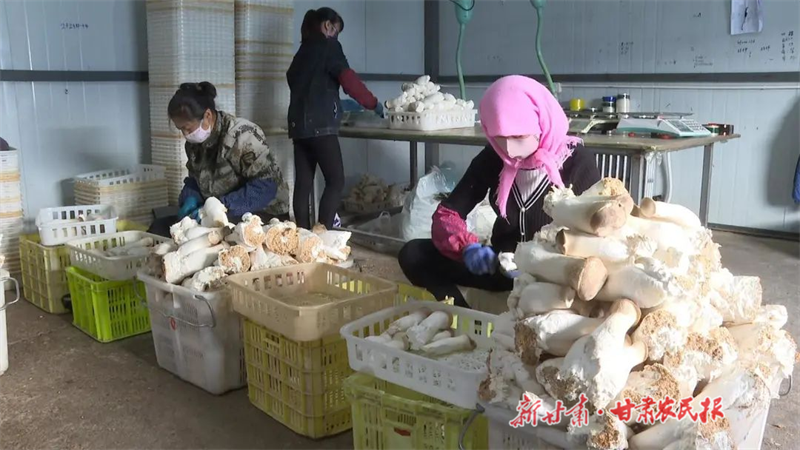 微信图片_20231122110156.png