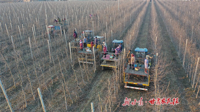 微信图片_20240103154208.jpg