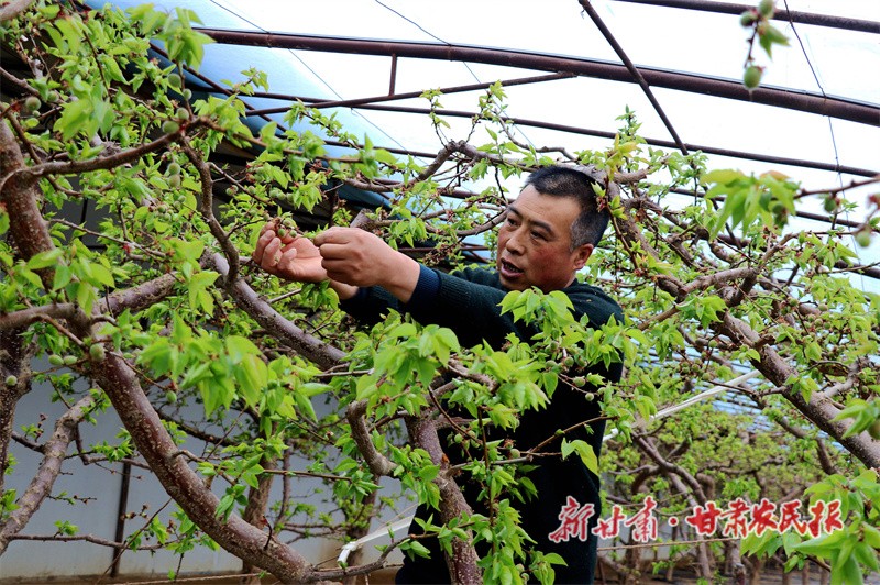 微信图片_20240221164945.jpg