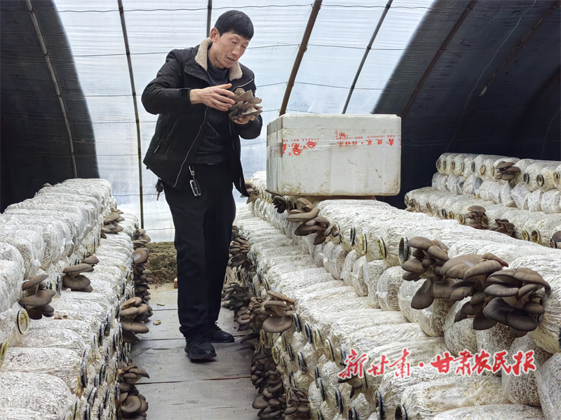 微信图片_20240301155052.jpg