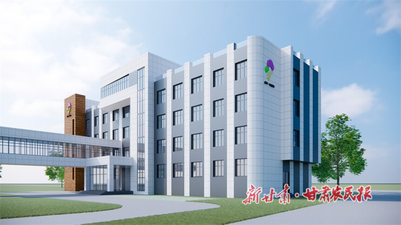 p3.jpg
