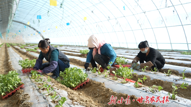微信图片_20240315152018.png