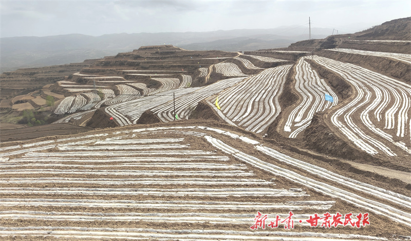 微信图片_20240422160552.jpg