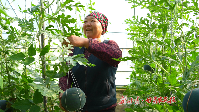 微信图片_20240424162037.png