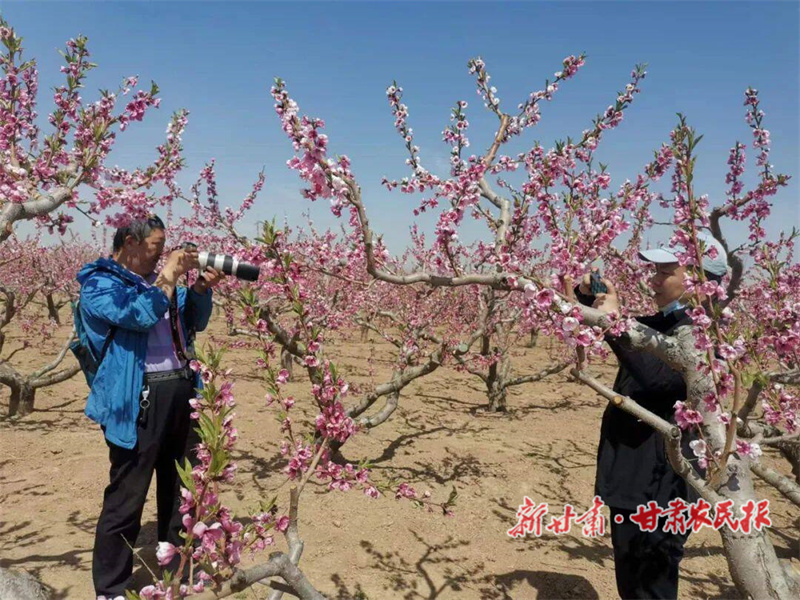 微信图片_20240429104119.jpg
