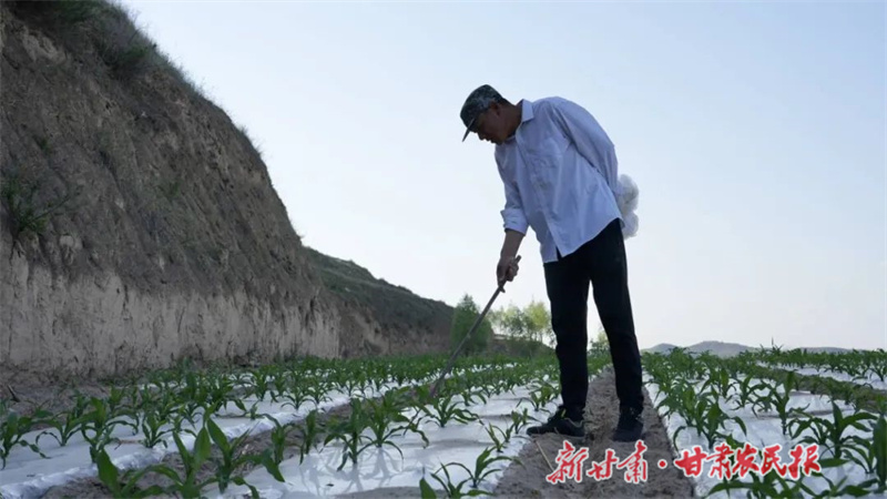 微信图片_20240529151222.jpg