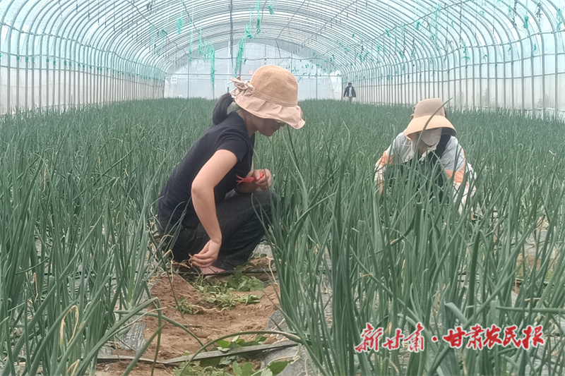 微信图片_20240621114612.jpg