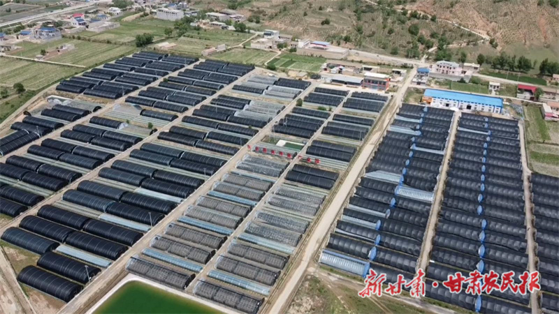 微信图片_20240819171506.jpg