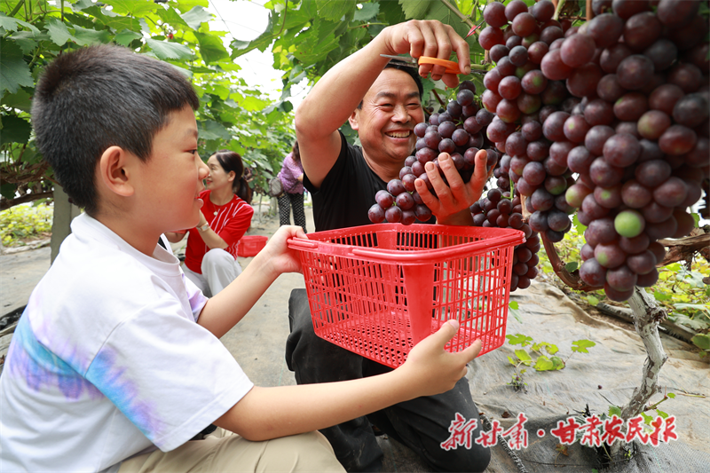 微信图片_20240820041051.png