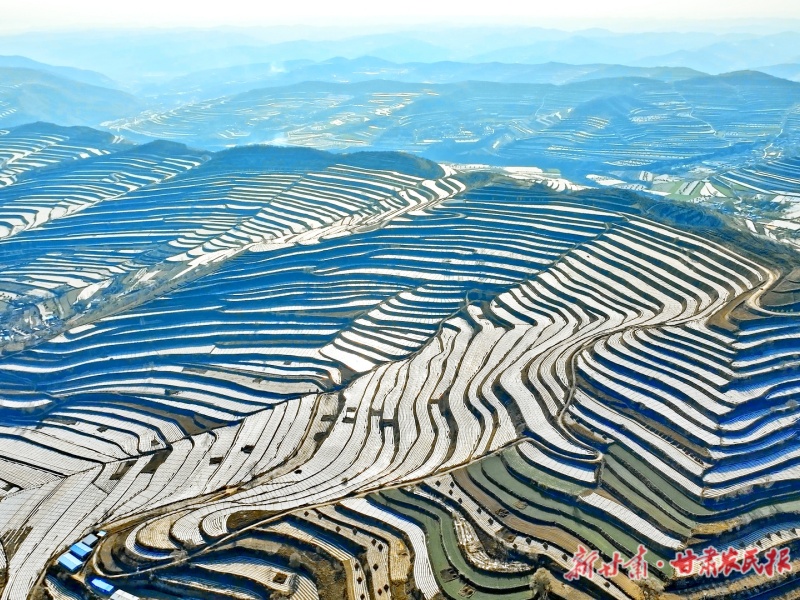 微信图片_20241125162619.jpg