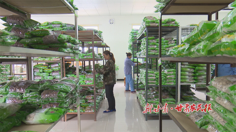 青松制药厂工人正在整理药品.png