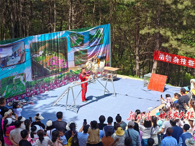 萌宠表演1.jpg