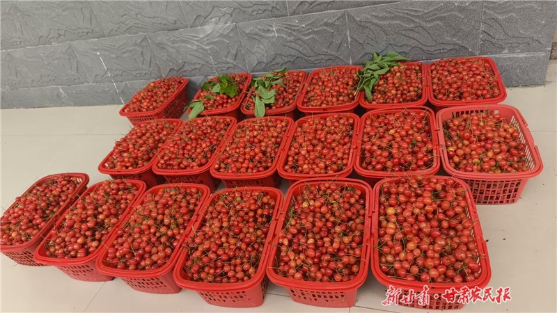 微信图片_20250520160143.jpg