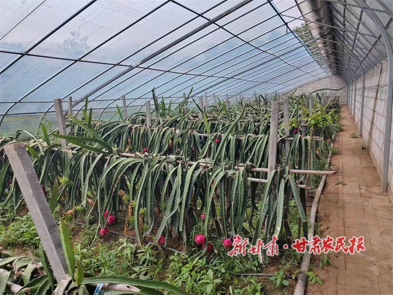 微信图片_20230306170513.jpg