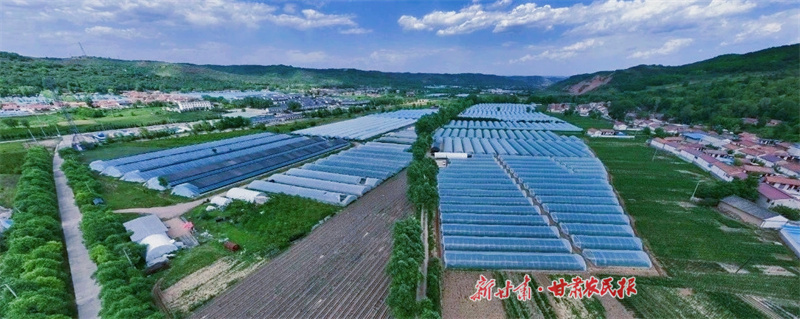 2蔬菜大棚林立.jpg
