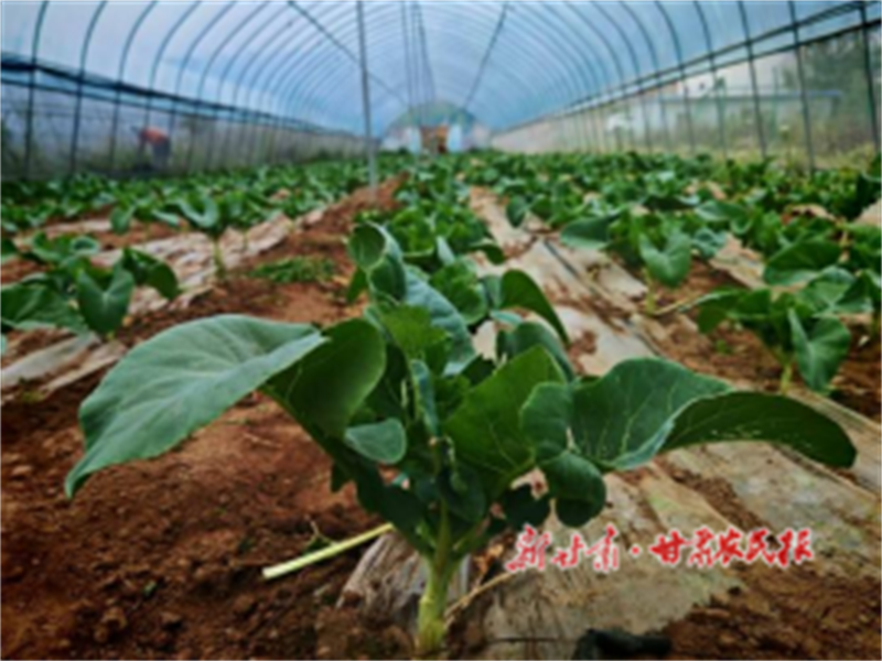 微信图片_2025-09-13_201247_733.png
